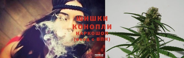 винт Богородск